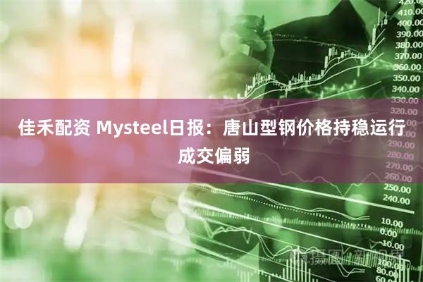 佳禾配资 Mysteel日报:唐山型钢价格持稳运行 成交偏弱
