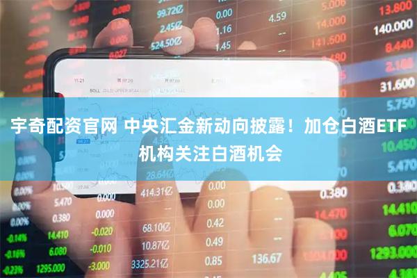 宇奇配资官网 中央汇金新动向披露！加仓白酒ETF 机构关注白酒机会